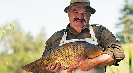 Gesunder Waldviertler Karpfen. Foto: Florian Kainz Waidhofen