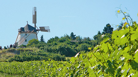 Die Windmühle von Retz. Foto: Retzerland